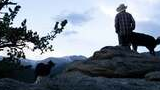 Person wearing a hat and plaid shirt standing on a rocky outcrop with two black dogs, overlooking a mountainous landscape at dusk