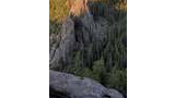 rocky outcropping on a forested mountainside bathed in warm evening sunlight with dense pine trees surrounding it