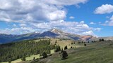 Expansive alpine meadow with scattered trees under a blue sky filled with fluffy white clouds and distant snow-capped mountain peaks