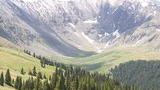 View of a mountain valley with patches of snow on rocky peaks and dense spruce fir forest below