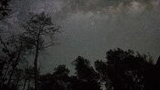 Star-filled night sky with the Milky Way visible above the silhouettes of tall trees