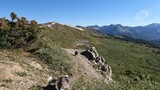 Two dogs walking down a narrow mountain trail surrounded by rocky and green vegetation, with expansive alpine meadows and distant mountain peaks under a clear blue sky