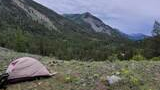 Beige tent set up on a rocky, grassy mountain clearing with scattered yellow wildflowers, surrounded by dense evergreen forest and steep mountain slopes under a cloudy sky