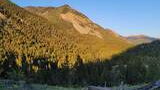 Mountain valley with dense pine forest, sunlit slopes, and a clear blue sky at sunset