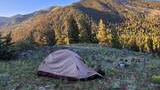Small tent set up on a grassy clearing with scattered wildflowers, surrounded by dense forested mountain slopes under a clear sky