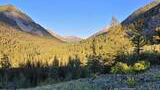 Mountain valley landscape with dense evergreen forest under a clear blue sky and sunlight casting shadows on rocky slopes