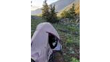 A black and white dog sitting inside a small beige and purple tent pitched on a grassy mountain slope with scattered yellow wildflowers and pine trees, with mountains in the background during early morning or late afternoon light