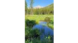 Serene mountain meadow with a calm stream reflecting blue sky, surrounded by green grasses and tall pine trees, with a distant rocky peak under a clear sky