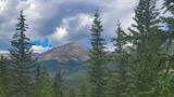 Evergreen trees in a mountainous landscape under a cloudy sky with patches of blue