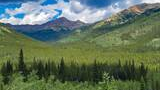 Mountain valley densely covered with spruce and fir trees under a partly cloudy blue sky