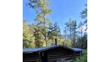Low log cabin with metal roof surrounded by tall trees and greenery under a clear blue sky