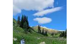 Mountain valley with green wildflower meadow, a small stream flowing through, evergreen trees on the slopes, and a partly snow-covered peak under a bright blue sky with fluffy white clouds