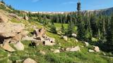Rocky mountain meadow with dense green grass, scattered large boulders, and tall evergreen trees beneath a clear blue sky