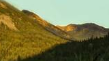 Mountain slopes covered with dense spruce and fir forest illuminated by warm sunlight under a clear sky