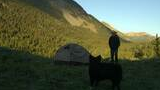 Person standing near a tent on a grassy mountain meadow with a black dog in the foreground during late afternoon light