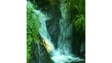 Small cascading waterfall surrounded by green foliage and rocks