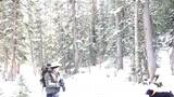 Person dressed in winter gear standing in a snowy forest with a black dog wearing an orange collar nearby