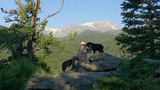 Man sitting on a rocky outcrop in a forested mountain area with two black dogs, snow patches visible on distant peaks under a clear sky