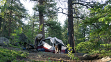 Person setting up a tent in a forested area with a black and white dog standing nearby