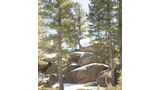 Snow-covered ground with large boulders surrounded by tall evergreen trees under a clear sky