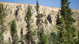 Evergreen trees growing in front of a rocky mountainside under a clear blue sky