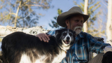Man sitting outdoors with a black and white border collie dog, wearing a wide-brimmed hat and a blue plaid shirt, gently petting the dog