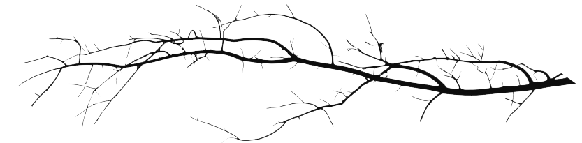 Thin, bare tree branch with many small twigs extending from it against a plain white background