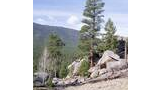 Rocky hillside with pine trees and dry grass under a partly cloudy sky, overlooking a forested mountain range