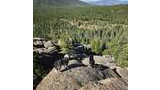 Two dogs standing on large rocks overlooking a forested valley with distant mountains under a partly cloudy sky