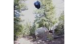A dark blue and gray backpack appears suspended in midair among evergreen trees and large rocks on a forested hillside