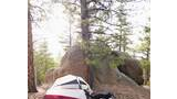 Camping tent pitched on forest floor with two dogs resting nearby, large rock formation and tall pine trees in background