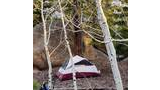 purple and white dome tent pitched on a forest floor surrounded by white-barked trees and large boulders
