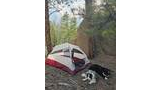 Camping tent pitched on a forest floor covered with pine needles and cones, with two dogs lying nearby and large rock formations and tall trees in the background