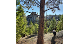 Black dog standing on a rocky hillside surrounded by pine trees with large rock formations in the background under a clear blue sky
