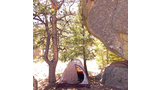 Small tent set up in shade between pine trees and large rock formations with a dog resting inside the tent