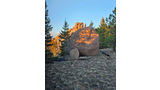 Large sunlit boulders and pine trees on a grassy hillside under a clear blue sky in late afternoon light
