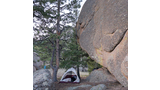 Small tent set up beside large rocky outcropping with tall pine trees around and a dog resting inside the tent