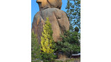 large balanced granite boulders towering above a campsite with tents and trees around the base