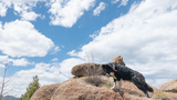 black and white dog standing on large reddish rocks under a partly cloudy blue sky
