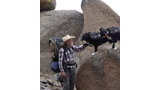 Man wearing a cowboy hat and backpack touching paws with a black and white dog standing on a large rock, with another dog nearby and rough rocky terrain around them