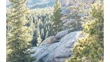 Rocky outcrop surrounded by pine trees with sunlit forested mountains in the background