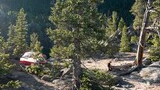 Tent pitched in a quiet mountain clearing surrounded by scattered pine trees and large rocks, with a dog resting in the shade and rugged mountain peaks in the background