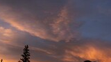 Silhouetted trees and large rocks against a twilight sky with glowing orange and purple clouds