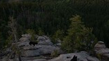Two black dogs sitting on large rocky outcroppings overlooking a dense forested valley with mountains in the distance bathed in warm sunlight