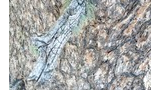 Close-up of textured tree bark with rough, cracked surface and patches of light green lichen on a protruding dead branch