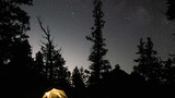 Illuminated camping tent surrounded by dark trees under a star-filled night sky