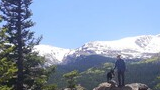 Person standing on a large rock with a dog, surrounded by pine trees and overlooking forested mountains with snow-capped peaks under a clear blue sky