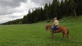 Person wearing a cowboy hat riding a chestnut horse across a green grassy field with tall pine trees and a cloudy sky in the background