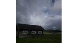 Three dogs standing in tall grass near a rustic log cabin under a cloudy sky