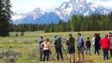 Group of people standing among yellow wildflowers in a grassy field with tall pine trees and snow-capped mountains in the background under a partly cloudy sky